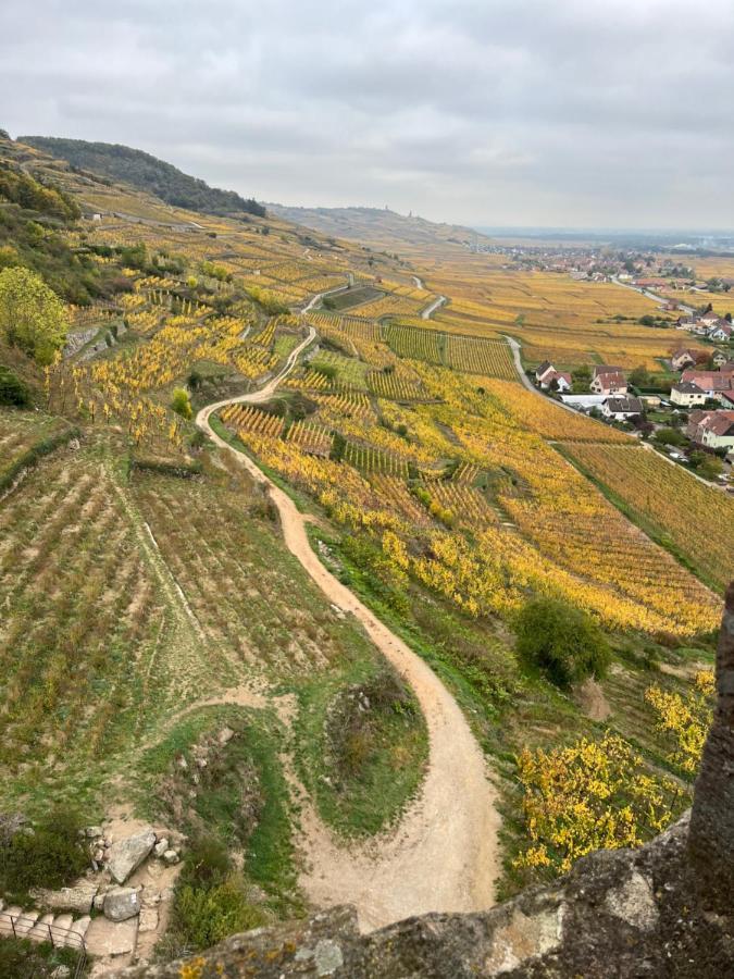 Gite De Montagne -Bellefosse Alsace Exterior photo